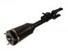 Stoßdämpfer Shock Absorber:164 320 43 13