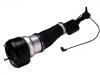 Stoßdämpfer Shock Absorber:221 320 05 38