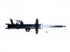 减振器 Shock Absorber:1014013163