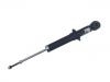 减振器 Shock Absorber:1064001268