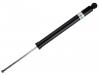 减振器 Shock Absorber:A 243 320 79 00