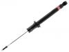减振器 Shock Absorber:4854059065