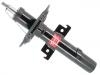 减振器 Shock Absorber:543029846R